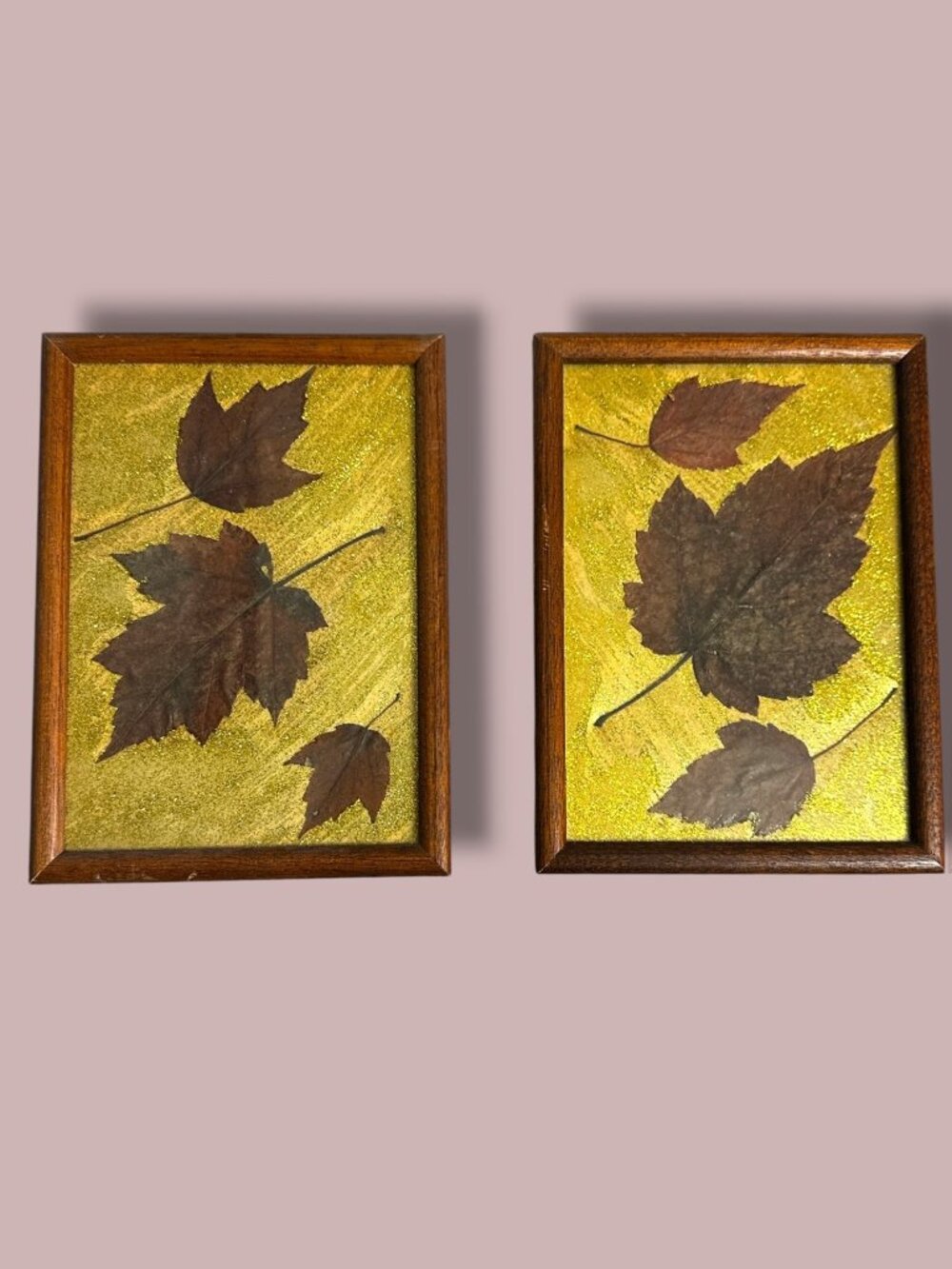 Set Of 2 Vintage Framed Pressed Leaf Art With Gold Glitter Background Decor, Han